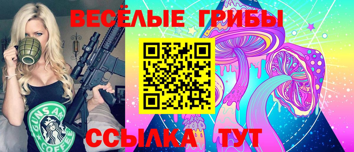 Псилоцибиновые грибы прущие грибы  Вход с VPN  Чернушка 